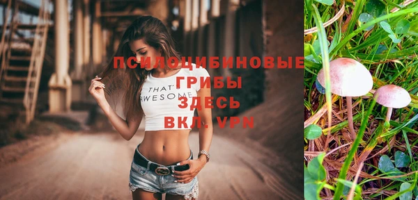герыч Вяземский